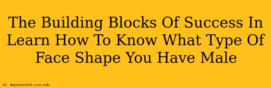 The Building Blocks Of Success In Learn How To Know What Type Of Face Shape You Have Male