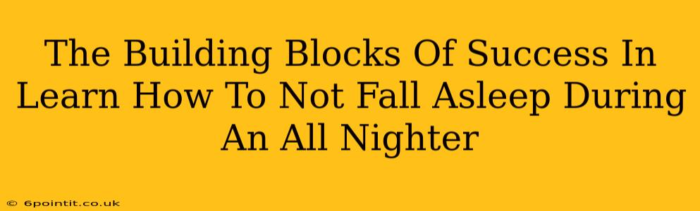 The Building Blocks Of Success In Learn How To Not Fall Asleep During An All Nighter