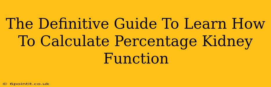 The Definitive Guide To Learn How To Calculate Percentage Kidney Function