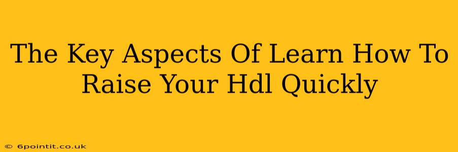 The Key Aspects Of Learn How To Raise Your Hdl Quickly