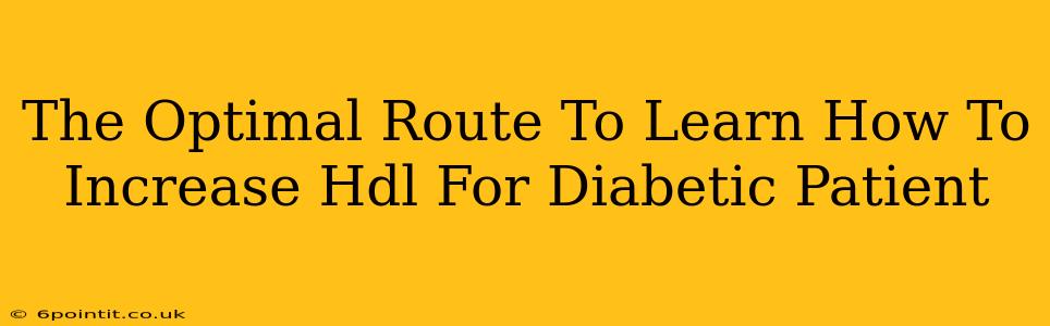 The Optimal Route To Learn How To Increase Hdl For Diabetic Patient