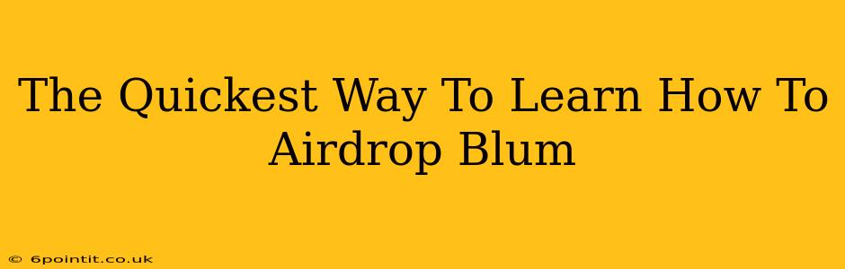 The Quickest Way To Learn How To Airdrop Blum