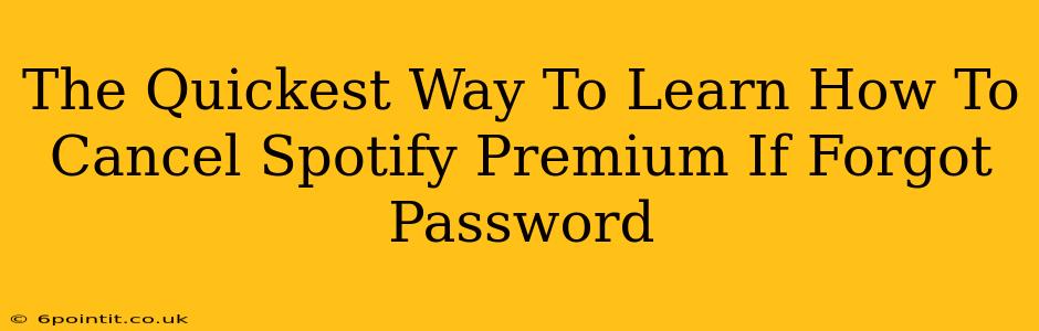 The Quickest Way To Learn How To Cancel Spotify Premium If Forgot Password