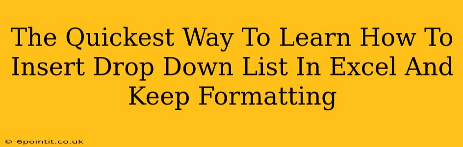 The Quickest Way To Learn How To Insert Drop Down List In Excel And Keep Formatting