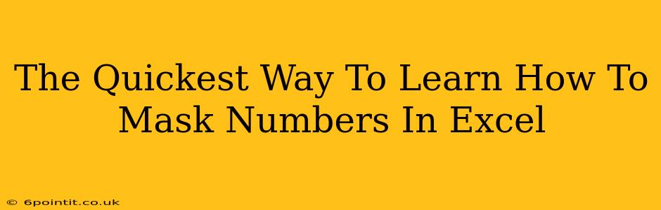 The Quickest Way To Learn How To Mask Numbers In Excel