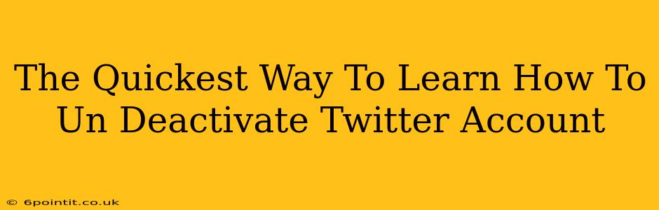 The Quickest Way To Learn How To Un Deactivate Twitter Account