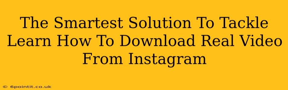 The Smartest Solution To Tackle Learn How To Download Real Video From Instagram