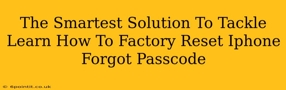 The Smartest Solution To Tackle Learn How To Factory Reset Iphone Forgot Passcode