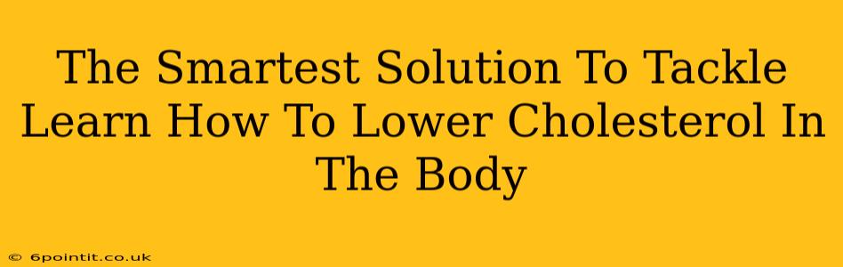 The Smartest Solution To Tackle Learn How To Lower Cholesterol In The Body