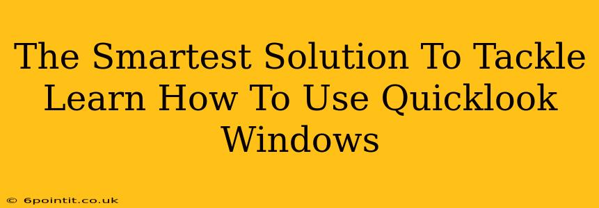 The Smartest Solution To Tackle Learn How To Use Quicklook Windows