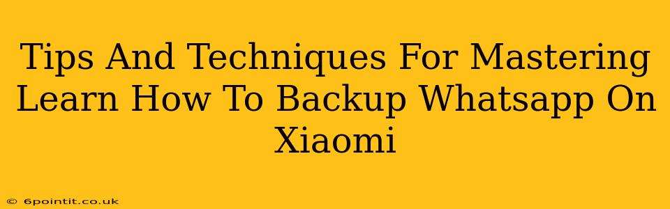 Tips And Techniques For Mastering Learn How To Backup Whatsapp On Xiaomi