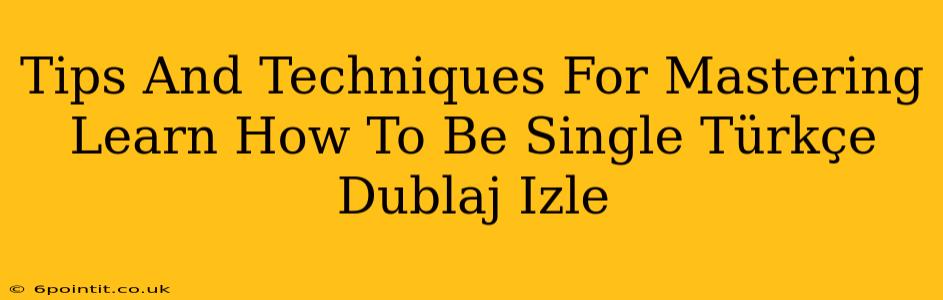 Tips And Techniques For Mastering Learn How To Be Single Türkçe Dublaj Izle