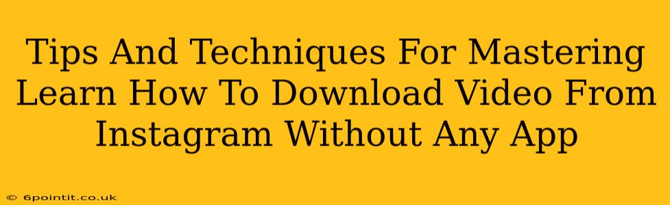 Tips And Techniques For Mastering Learn How To Download Video From Instagram Without Any App