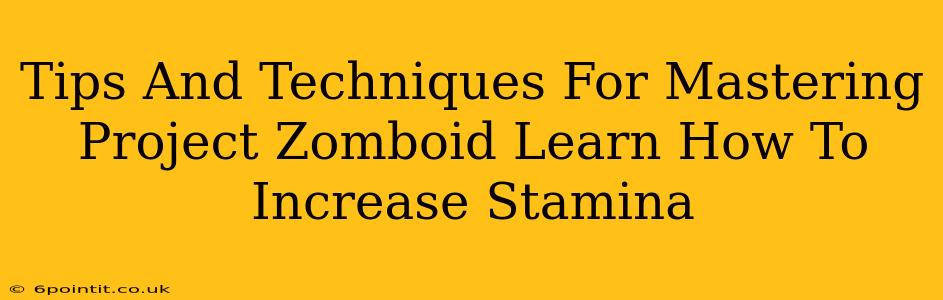 Tips And Techniques For Mastering Project Zomboid Learn How To Increase Stamina