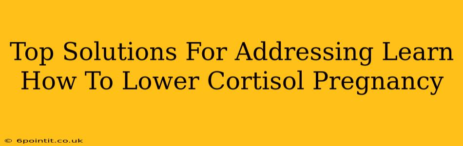 Top Solutions For Addressing Learn How To Lower Cortisol Pregnancy