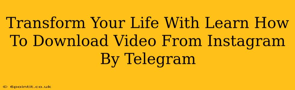 Transform Your Life With Learn How To Download Video From Instagram By Telegram