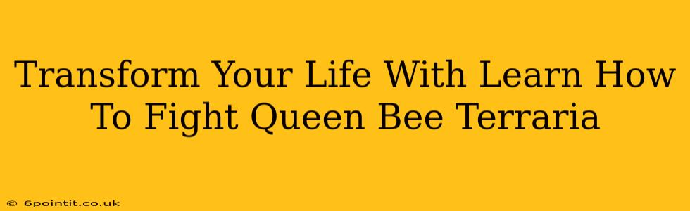 Transform Your Life With Learn How To Fight Queen Bee Terraria