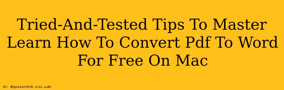 Tried-And-Tested Tips To Master Learn How To Convert Pdf To Word For Free On Mac