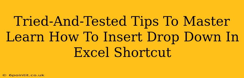 Tried-And-Tested Tips To Master Learn How To Insert Drop Down In Excel Shortcut