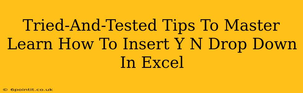 Tried-And-Tested Tips To Master Learn How To Insert Y N Drop Down In Excel