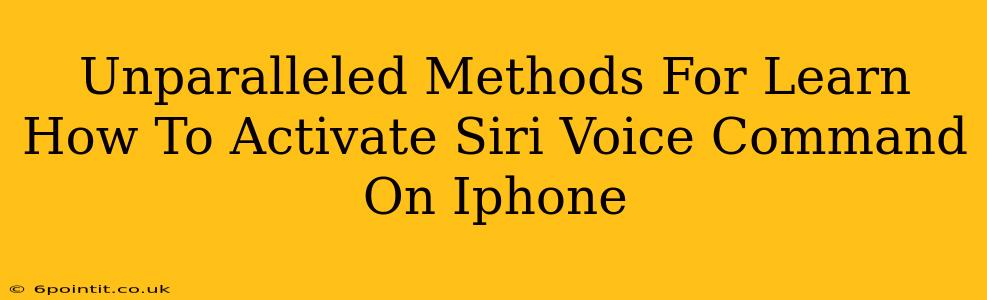 Unparalleled Methods For Learn How To Activate Siri Voice Command On Iphone