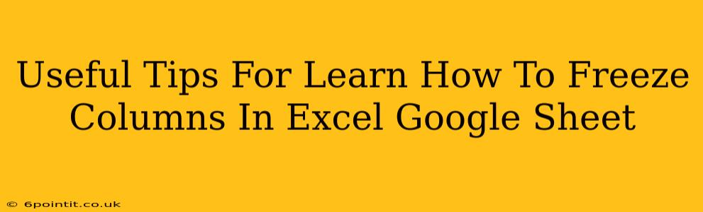 Useful Tips For Learn How To Freeze Columns In Excel Google Sheet