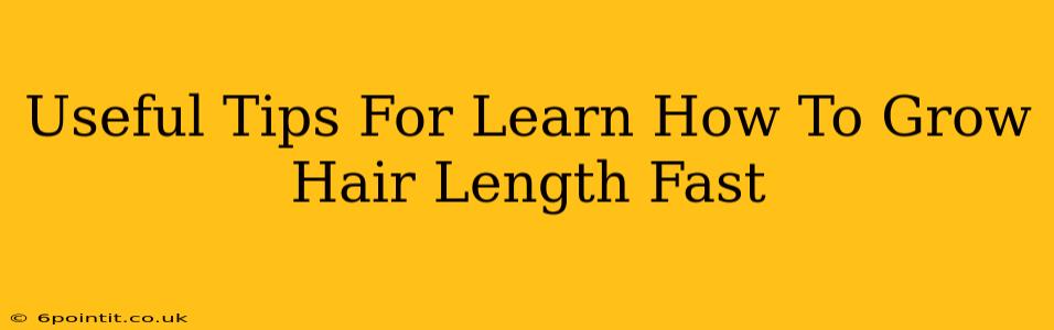 Useful Tips For Learn How To Grow Hair Length Fast