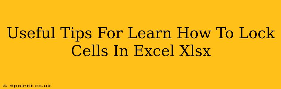 Useful Tips For Learn How To Lock Cells In Excel Xlsx